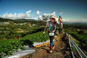 BIB: 
                            <button type="button" onclick="openModal(19124765)" class="btn btn-primary btn-sm float-right btn-popup" data-toggle="modal" data-target=".modal-high-quality">
                        <i class="fas fa-shopping-cart"></i> Add to Cart
                    </button>
                                            <button type="button" onclick="isThisMe(19124765, true)" class="btn btn-success btn-sm float-right btn-popup btn-isme hidden" data-toggle="tooltip" data-placement="bottom" title="นี่คือรูปของคุณใช่ไหม คลิกที่นี่เพื่อเอาเข้าอัลบั้ม">
                        <i class="fas fa-plus"></i> Add to album
                    </button>
                    <button type="button" onclick="isThisMe(19124765, false)" class="btn btn-warning btn-sm float-right btn-popup btn-isnotme hidden">
                        <i class="fas fa-ban"></i> Remove from album
                    </button>